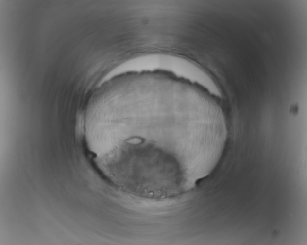 X0000115190027200911251429