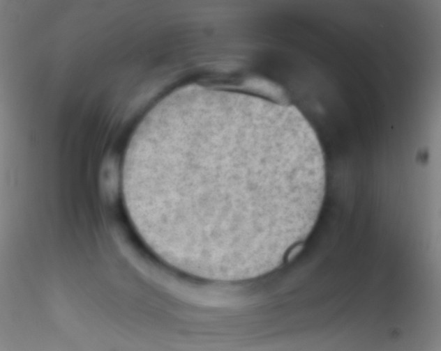 X0000115190028200911251429