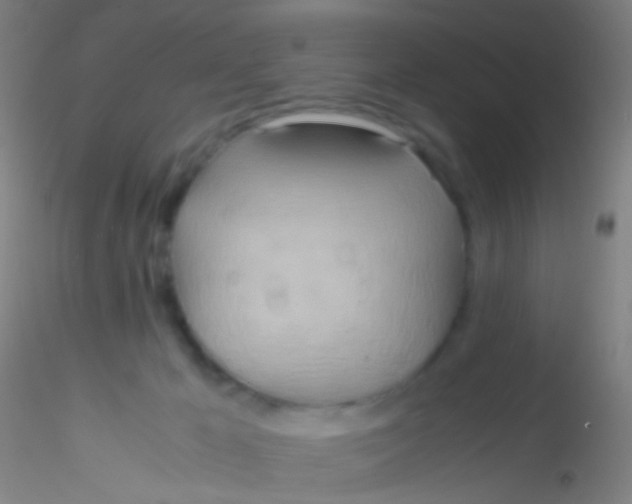 X0000115190029200911251429