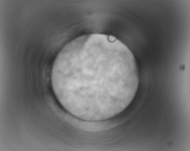 X0000115190030200911251429