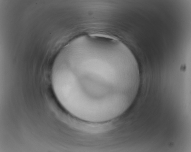 X0000115190031200911251429