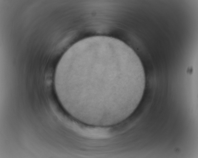 X0000115190032200911251429