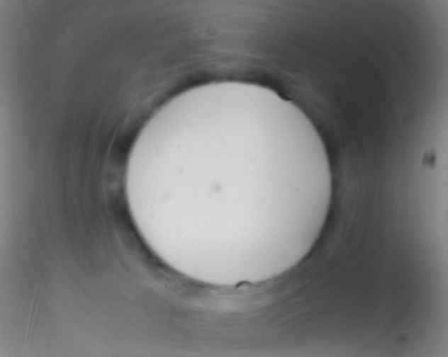 X0000115190033200911251429