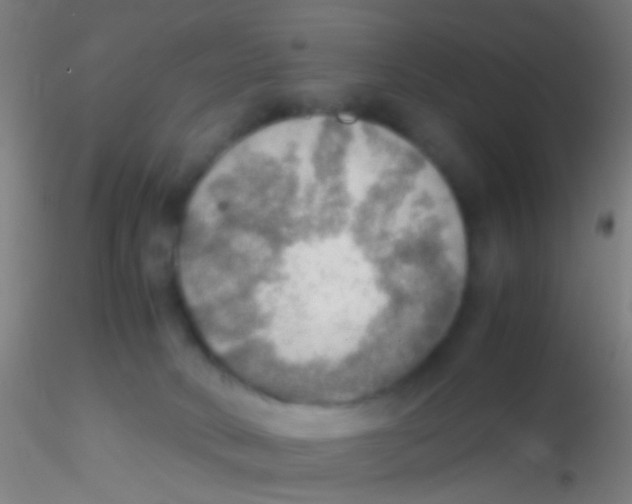 X0000115190034200911251429