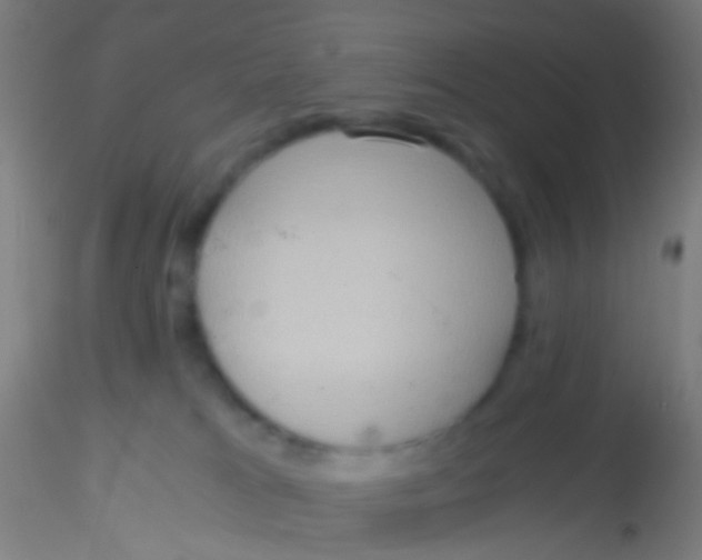 X0000115190037200911251429