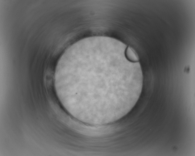 X0000115190038200911251429