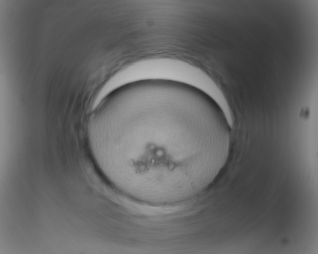 X0000115190039200911251429