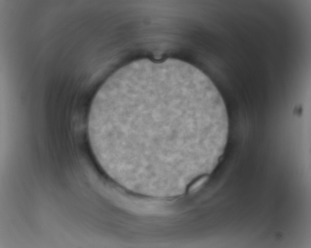 X0000115190040200911251429