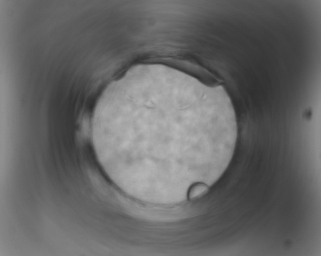 X0000115190042200911251429