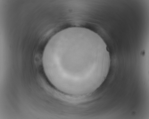 X0000115190043200911251429