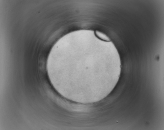 X0000115190044200911251429