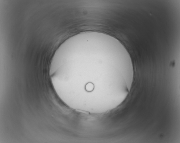 X0000115190045200911251429