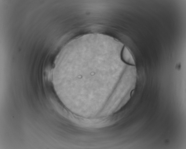 X0000115190046200911251429