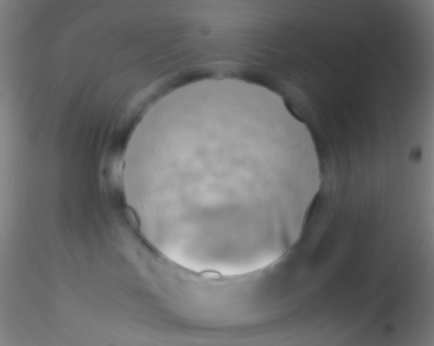 X0000115190047200911251429