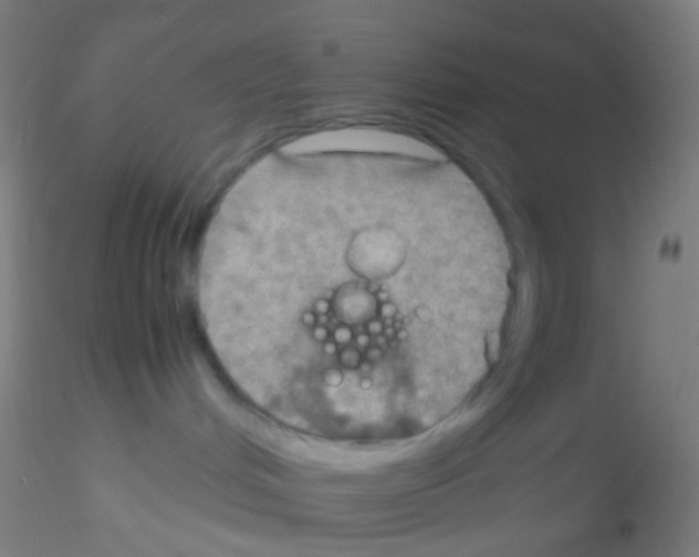 X0000115190048200911251429