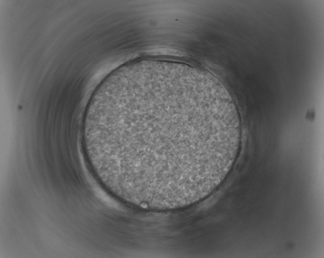 X0000115190049200911251429