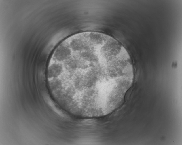 X0000115190050200911251429