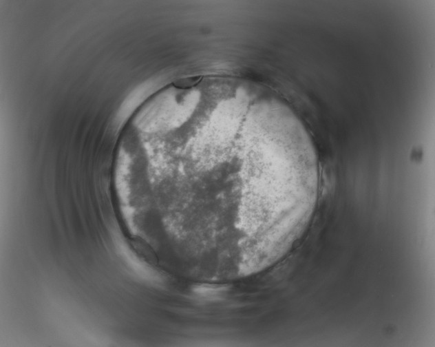 X0000115190051200911251429