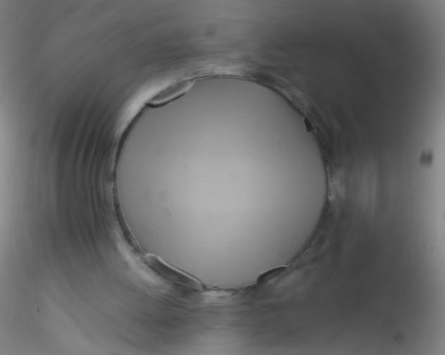 X0000115190052200911251429