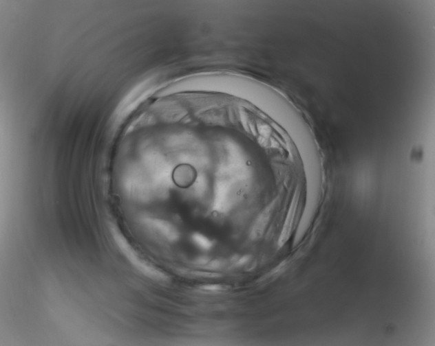 X0000115190053200911251429