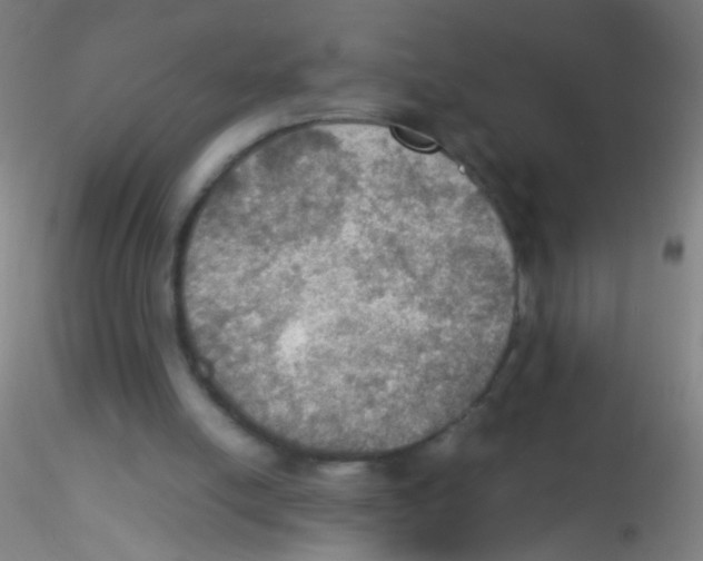 X0000115190054200911251429