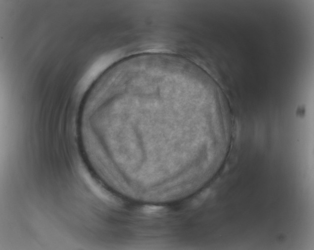 X0000115190055200911251429