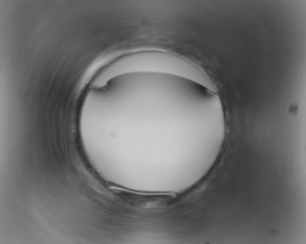 X0000115190056200911251429