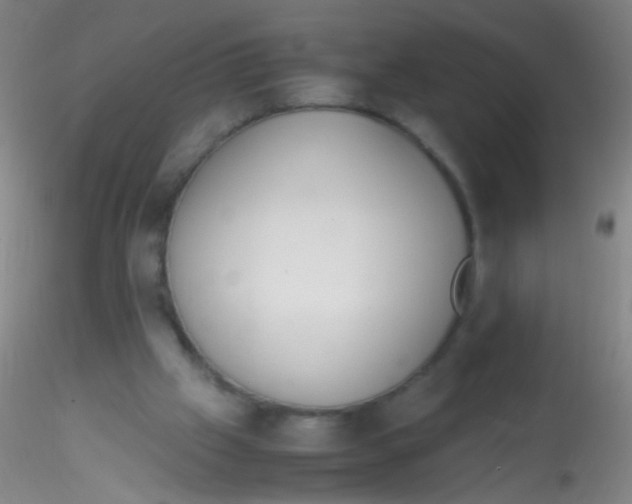 X0000115190057200911251429