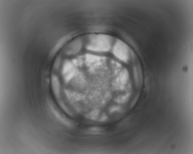 X0000115190059200911251429