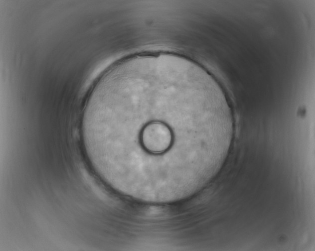 X0000115190060200911251429