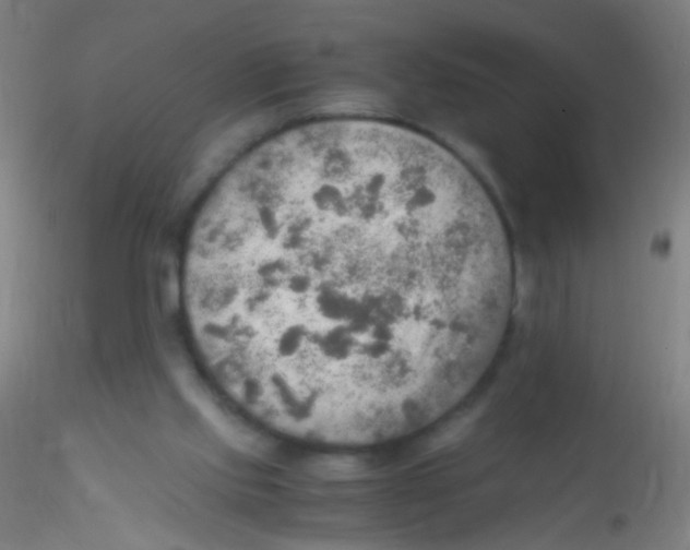 X0000115190061200911251429