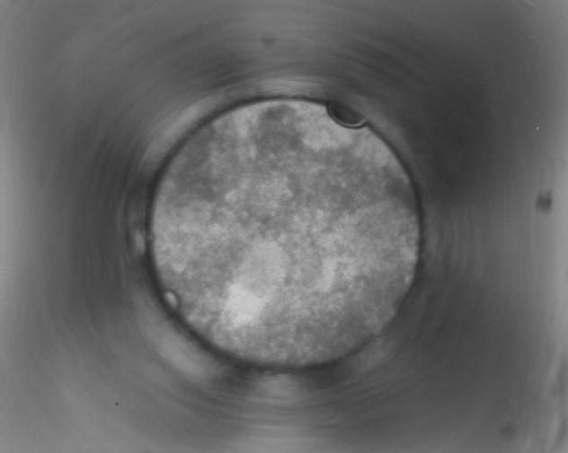 X0000115190062200911251429