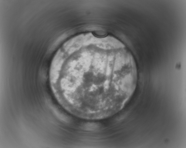 X0000115190063200911251429