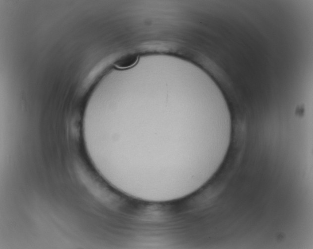 X0000115190064200911251429