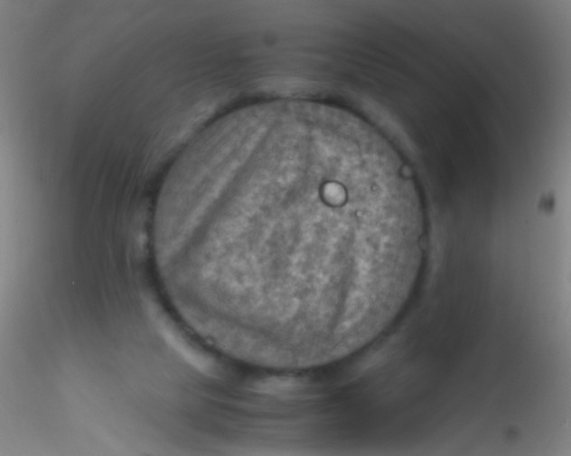 X0000115190065200911251429