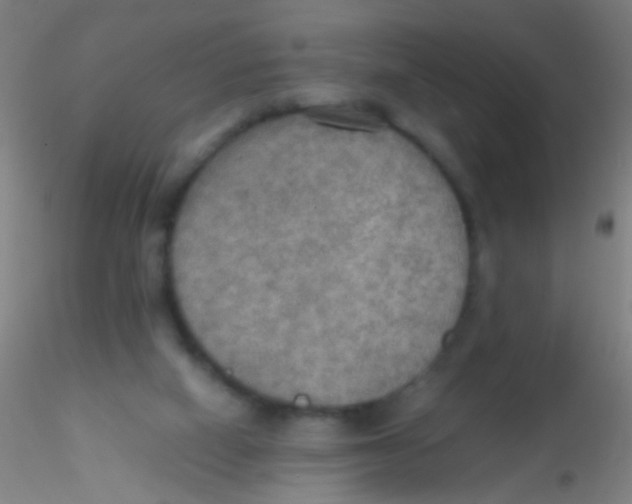 X0000115190066200911251429