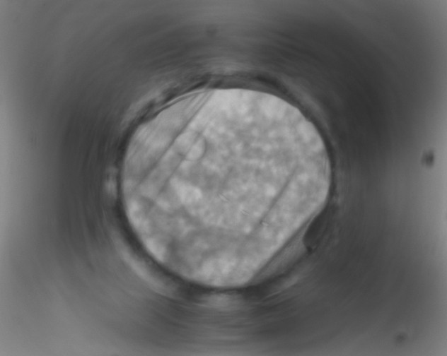 X0000115190067200911251429