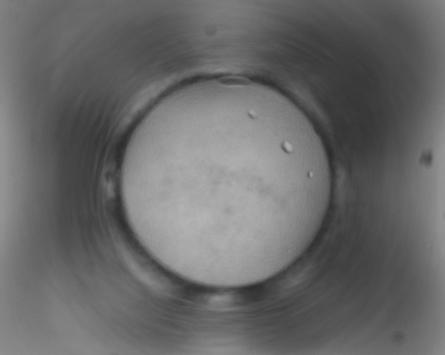 X0000115190068200911251429