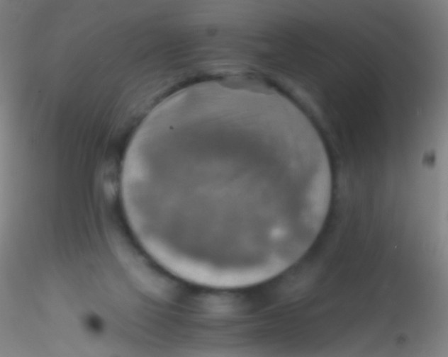 X0000115190069200911251429