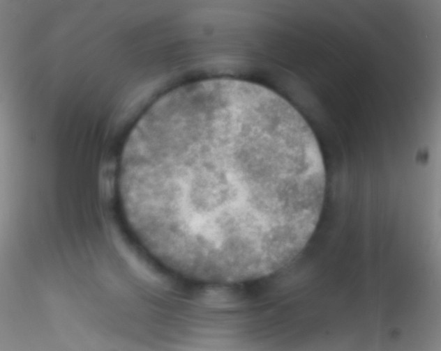 X0000115190070200911251429