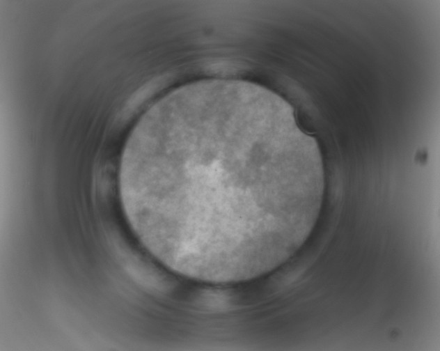 X0000115190071200911251429