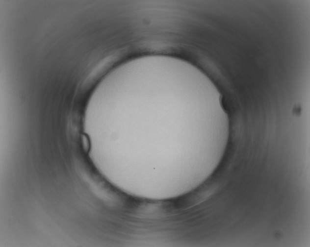 X0000115190072200911251429