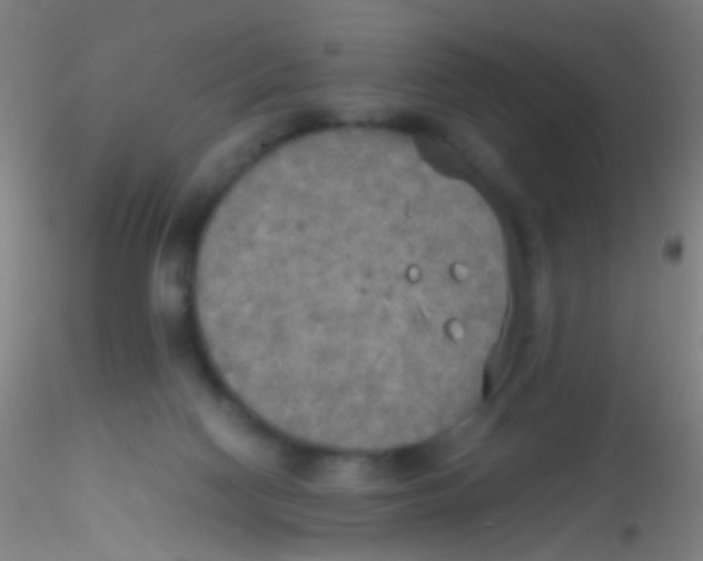 X0000115190074200911251429