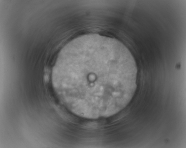 X0000115190075200911251429