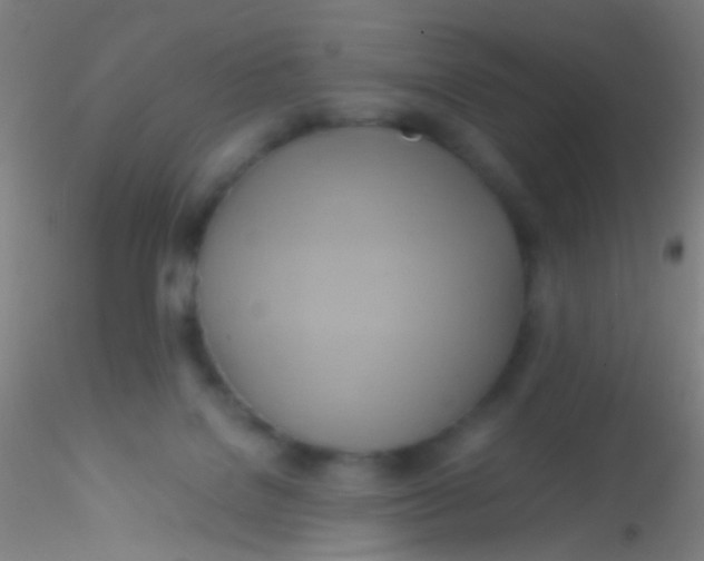 X0000115190076200911251429