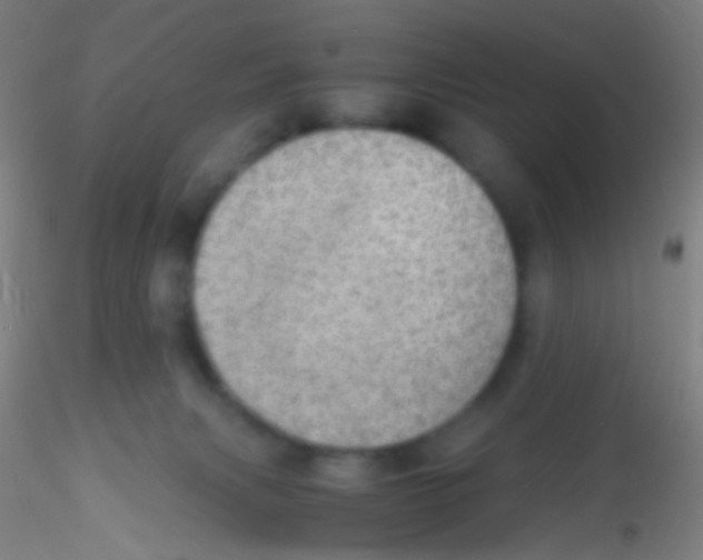 X0000115190079200911251429