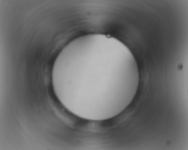 X0000115190080200911251429