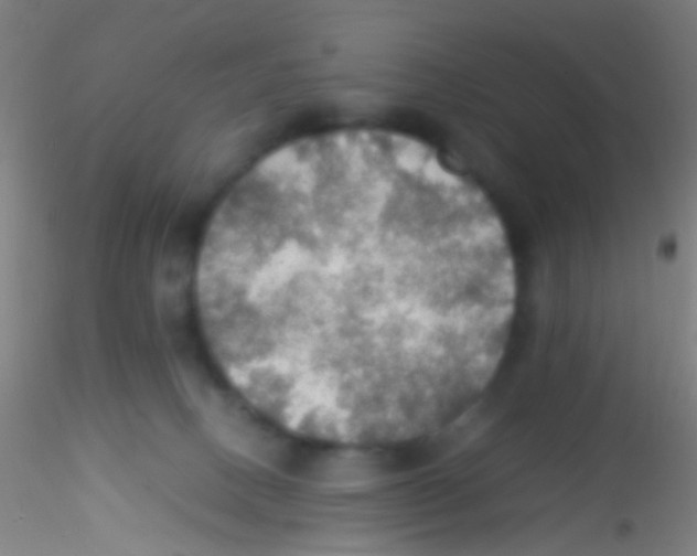 X0000115190082200911251429