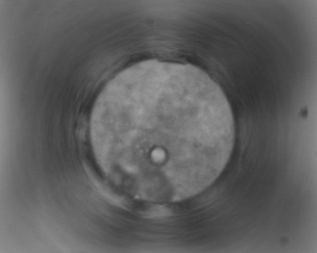 X0000115190083200911251429