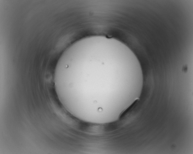 X0000115190084200911251429